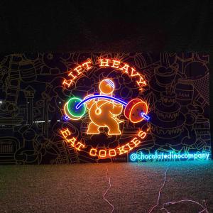 Can Neon Signs Be Dimmed?