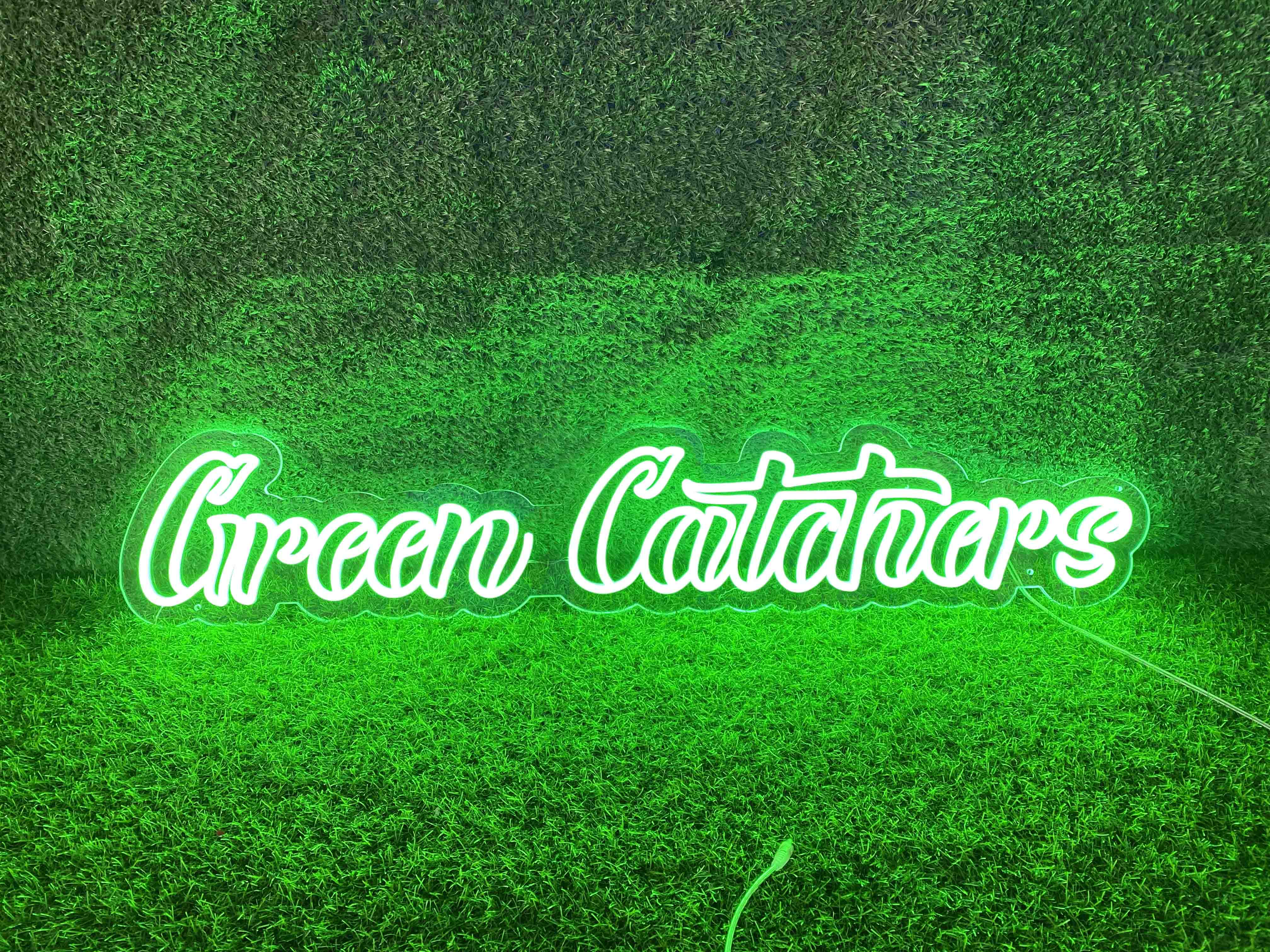Customized LED Neon Sign for Overseas Buyer “Green Catchers”