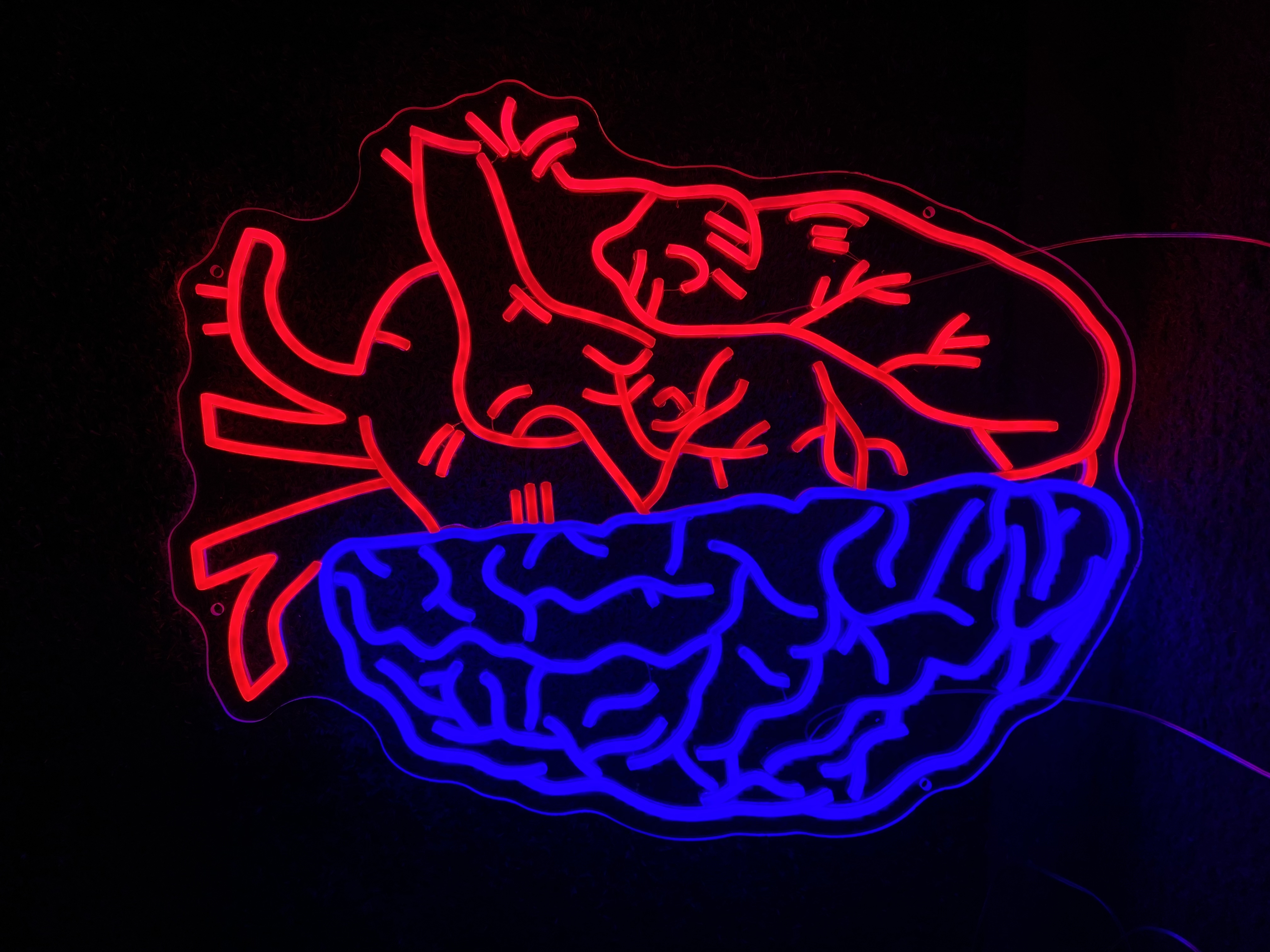 Human Brain & Heart LED Neon Wall Art for Overseas Client