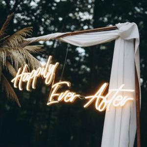 Custom Wall Outdoor Mounted LED Neon Signs 