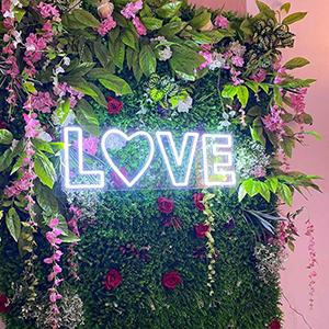 Love Neon Signs 